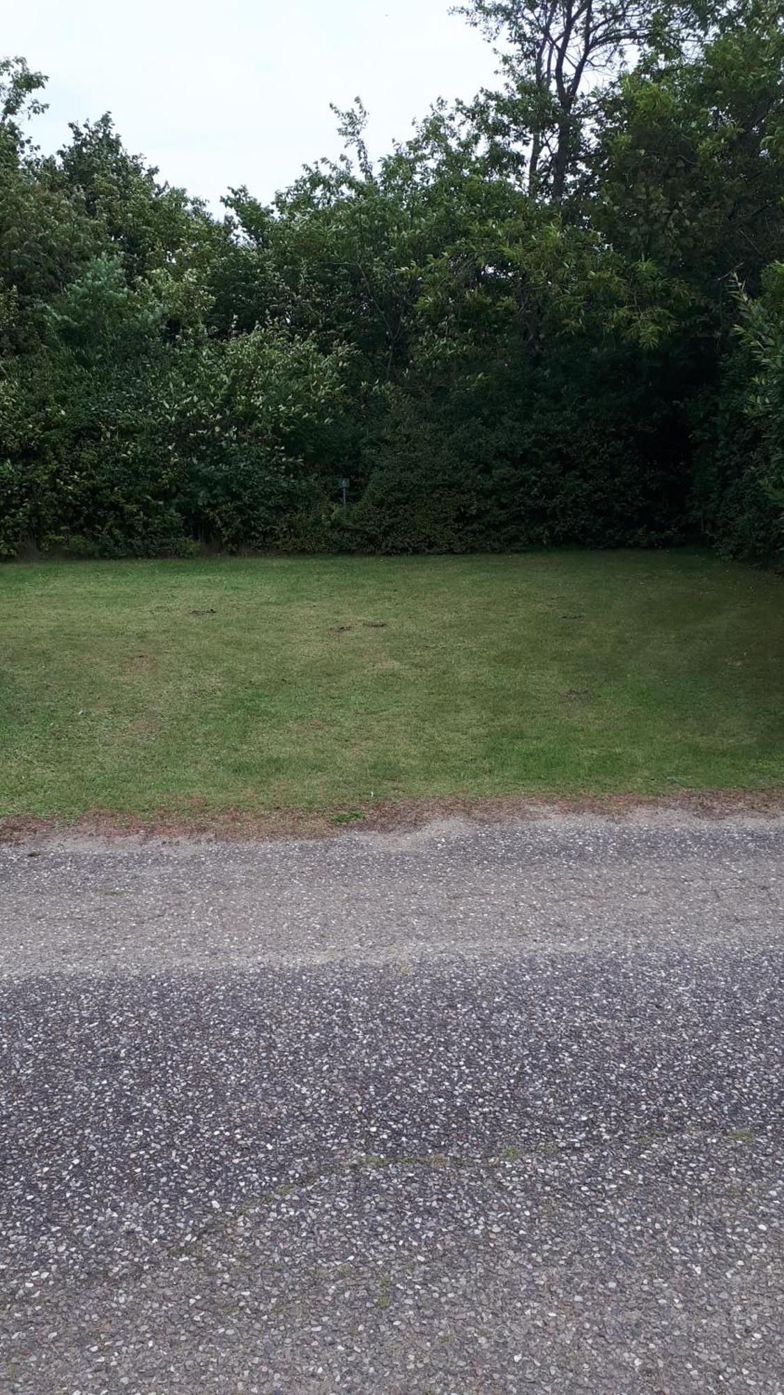 Grindsted Aktiv Camping&Cottages Exteriör bild